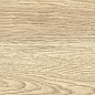 GP1560TAN01 Tanzania Crema матовый 151x602 New Trend