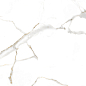 Satvario Gold Satin 120x60 Velsaa