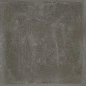 610010002667 Экспо Дарк Рет 60x60 ColiseumGres