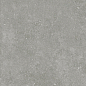 Granite Gloria Gray / Граните Глория Серый SR 60x60 Idalgo (Идальго)