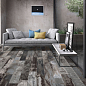 Colorart Carbon 15x120 Sant Agostino