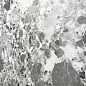 SL1004-A Terragona Silver Solido 60x120 Creanza