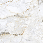 Cr.Pisa Gold Pul. Rect. 6mm 120x260 Pamesa
