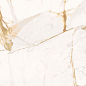 0500872 TWS Calacatta Oro Lux RT 59,6x119,2 Roberto Cavalli