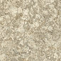 610010003162 F.d.M.Quark Brazilian Gold Lastra 20mm 60x60 Atlas Concorde Russia