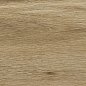 00R06P13 Woodglam Naturale 10x70 Ragno Marazzi