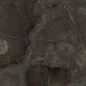 Chocolate Glossy 120x270 FMAX фото в миниатюре 3