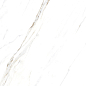 885 Calacatta Caldia 120x60 Artcer