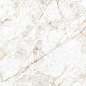 N20572 Glister Gold Carving 120x180 Neodom