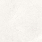 Stone Micado Blanco Белый Полированный 60х120 Ceradim
