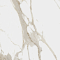 610010001411 Charme Evo Calacatta Nat Rett 60x120 Italon