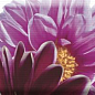 Decor Flowers 02 15x45 Absolut Keramika