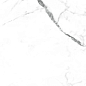 NR235 Dalim White Матовый 60x120 PrimaVera