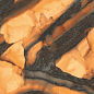 INF3423 Tiger All-Light Polished Ret 120x278 Fondovalle фото в миниатюре