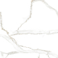 Marble White Glossy 60x120 Duna