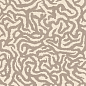 4101188 Nok Snake Ivory 120x120 41ZERO42