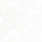 Royal Swiss White белый лаппатированный 60х120 Laparet