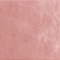 24466 ARTISAN ROSE MALLOW 6,5X20 EQUIPE