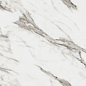 R_PR2005 Divine Calacatta Polished 60x120 Royce