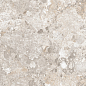 Venus Fossil Double Digital 60x120 Realistik