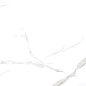 NTT3009M Statuario Mat 120x240 NT Ceramic