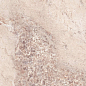 L175373MF6 Gemstone Gem Rose Lucido 75x150 IRIS FMG