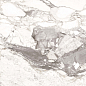 Calacatta Oreo Polished 60х120 Kutahya Seramik