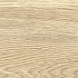 GP1560TAN01 Tanzania Crema матовый 151x602 New Trend
