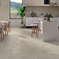CAN5AREIDD1A Arenite Grey MT 60x120 STN Ceramica