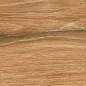 AB 1163W Wildwood Ocher 1200x200 Absolut Gres