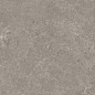 Capri Gris серый сатинированный карвинг 60x120 Laparet