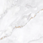 N20534 Ornato Wave Polished 60x120 Neodom