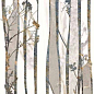03908 MAJESTIC PURE GROVE LEV/RET 60x119,5 Ceramiche Piemme