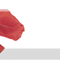 Decor Poppy 01 10X30 Absolut Keramika