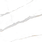 Statuario Brown Glossy 60x120 Modern Tile