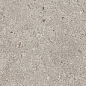 SG653720R/5 Риккарди серый светлый матовый 60x10,7 Kerama Marazzi