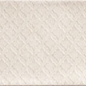 DECOR CAMDEN BIANCO 10x20 Mainzu