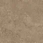 NTTHS99959D Axion Feron Taupe 60x120 NT Ceramic фото в миниатюре 6