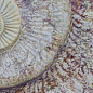 FM3366 Fossil Mix 33х66 Serapool