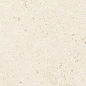 Buxy Corail Blanc 50x100 Kerlite