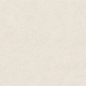 100348029 Terra Bone 120x120 Porcelanosa
