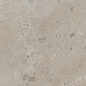 188998 Pietra Viva Taupe 60x120 Dune