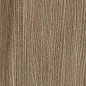 Poeme Siena 120x20 Keraben