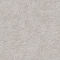 N40042 Basalt Stone Pearl Matt 60x120 Neodom