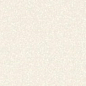 Black-White Snow 300x100 Kerlite