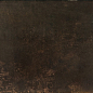 Evolution Bronce 49.1x98.2 Ceracasa