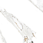 AB 1199G Aspire Gold Gloss 1200x600 Absolut Gres