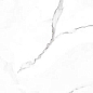 NR235 Dalim White Матовый 60x120 PrimaVera