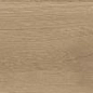 221990 Century Honey Rect Matt 25x150 Colorker