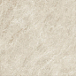 AYL1 Marvel Diva Taj Mahal Field Matte 50x120 Atlas Concorde